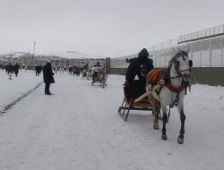 Atlı kızak yarışları nefes kesti 
